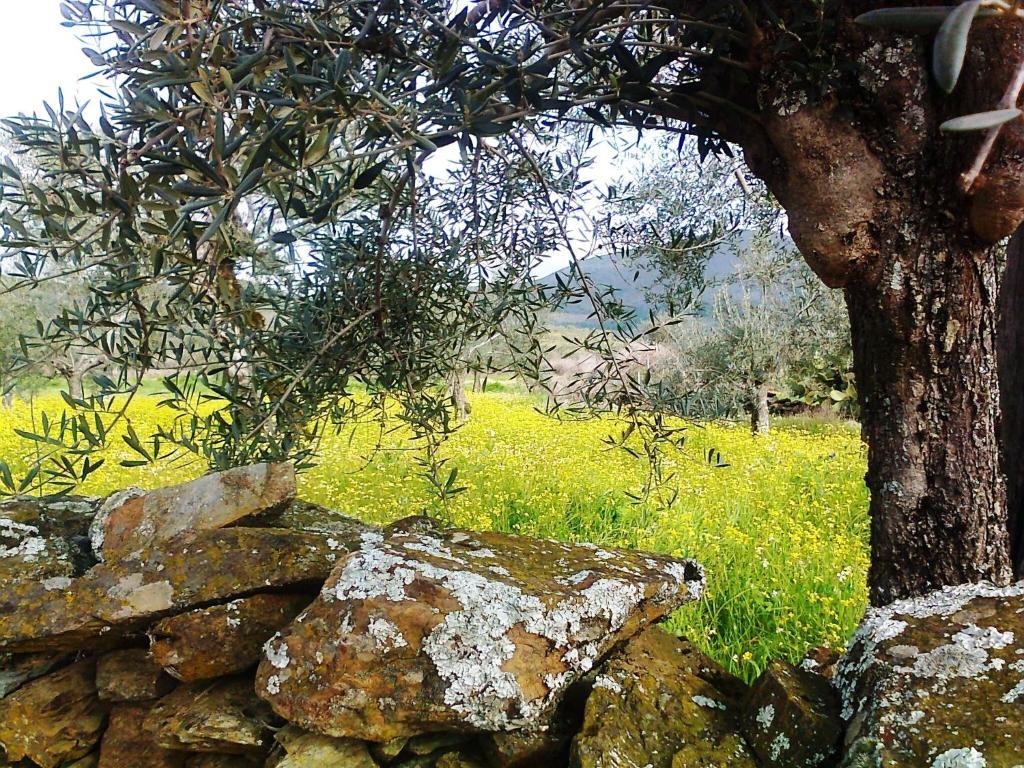 La Posada Del Casar Casar de Palomero エクステリア 写真